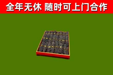 尚志回收海参